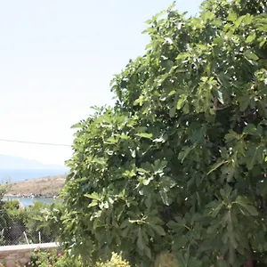Apartament Condo Rooms, Saranda